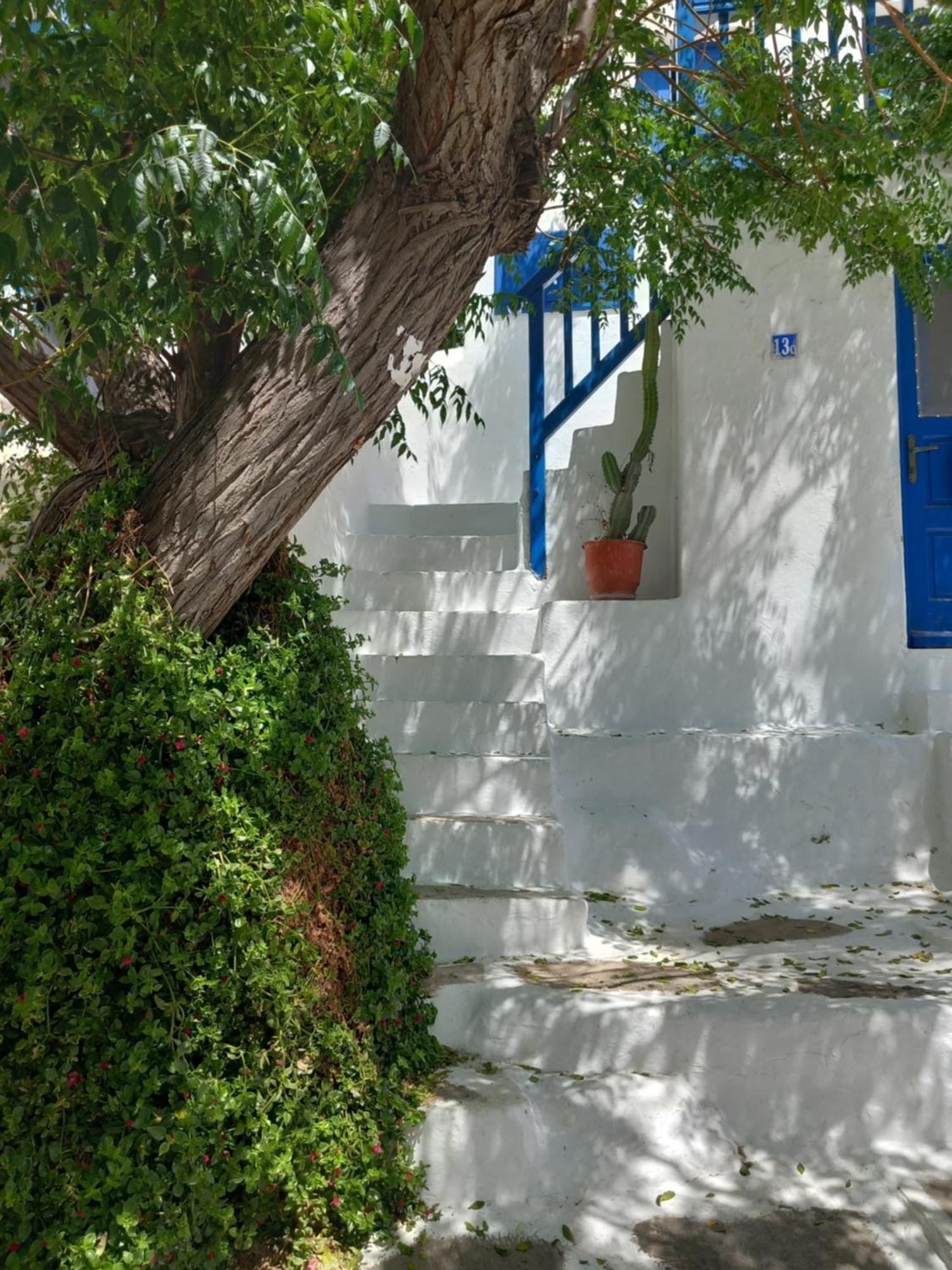 Alex Oldtown Sea View Rooms And Appartments Mykonos Town الغرفة الصورة