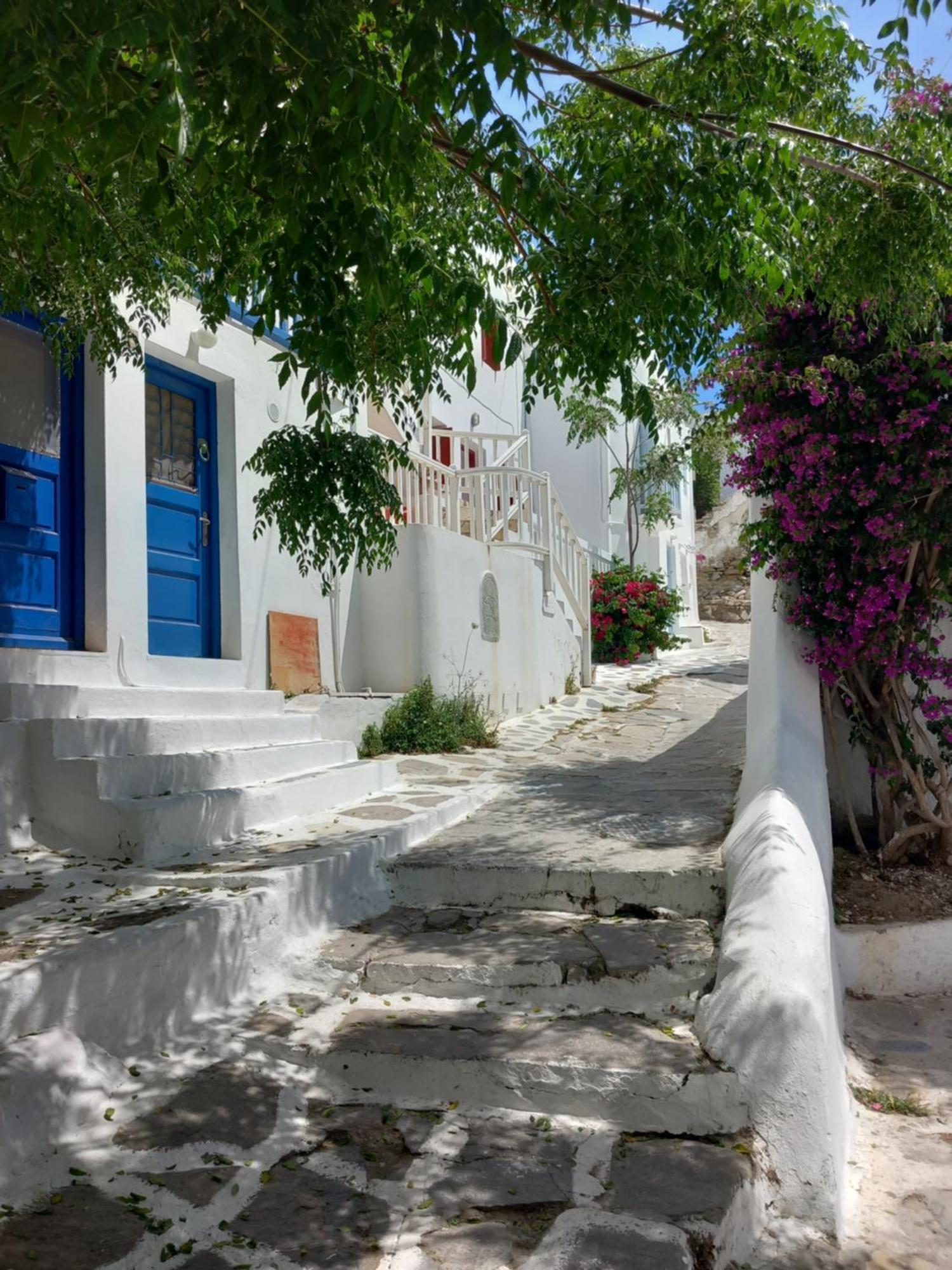 Alex Oldtown Sea View Rooms And Appartments Mykonos Town الغرفة الصورة